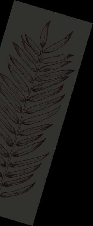 daun